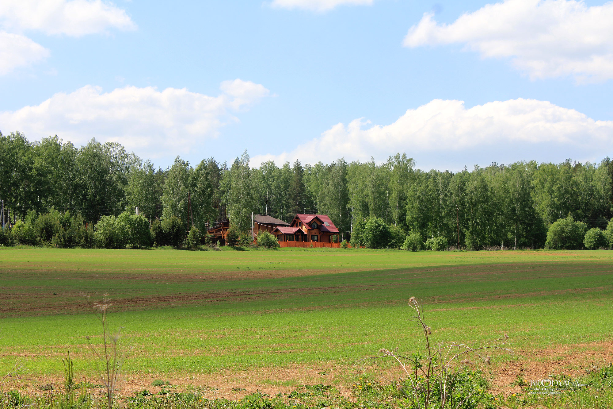Kadnikovo (Кадниково)